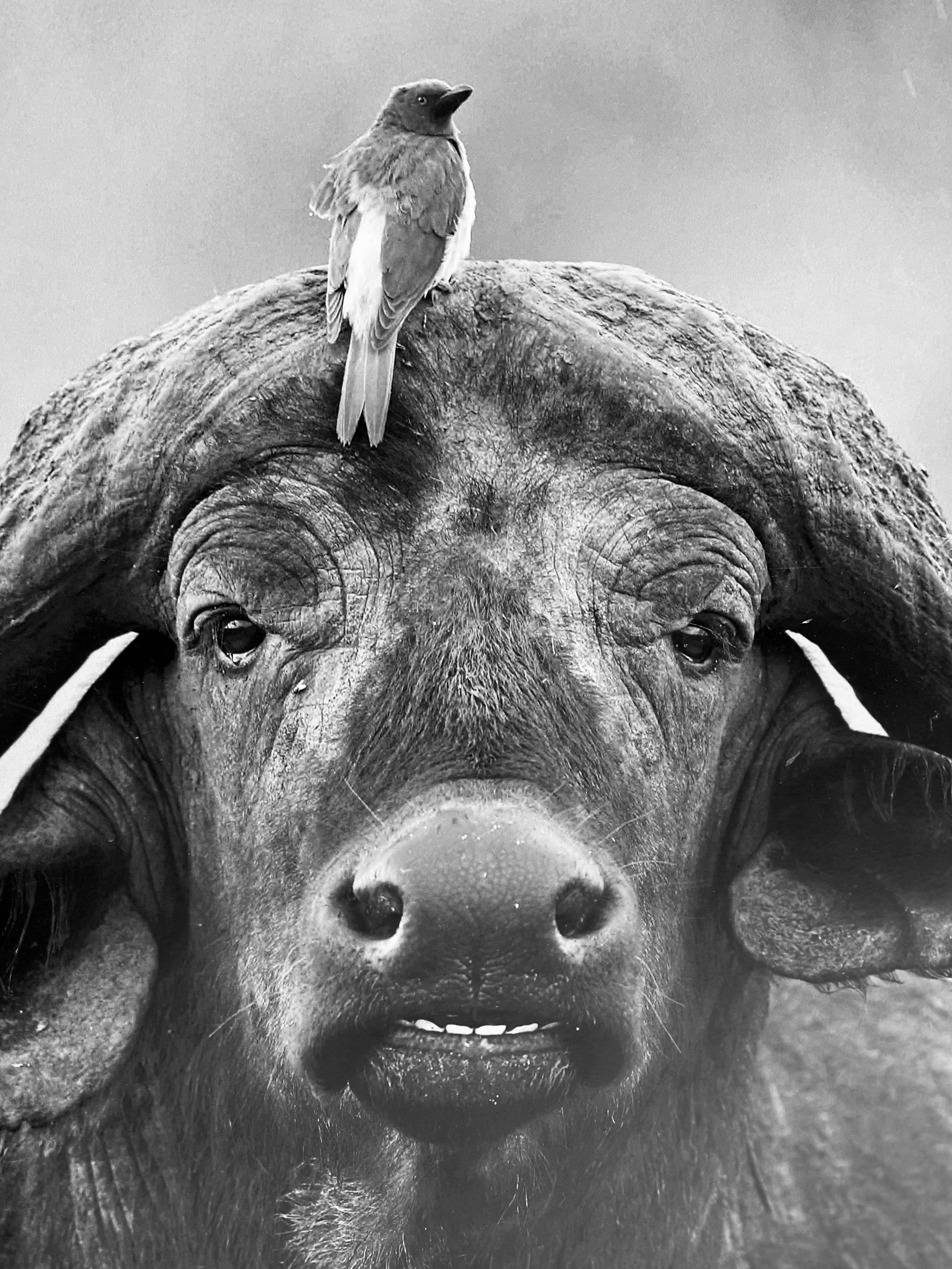 Web tasarım hizmeti görseli